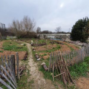 fablab la verriere experience visite jardin fruits defendus montreuil potager mandala